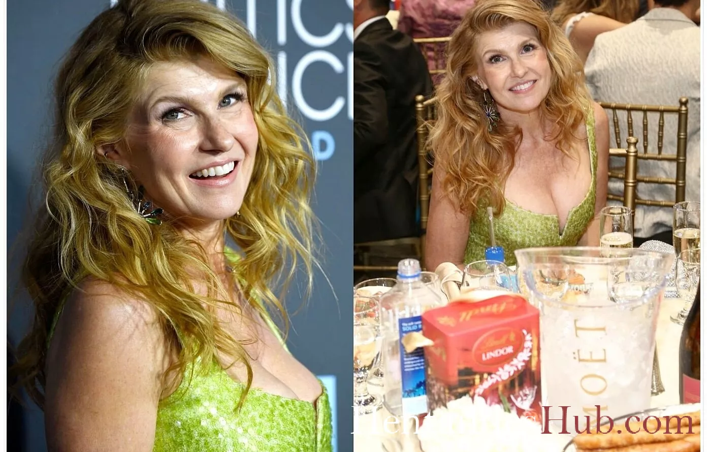 Connie Britton Nude OnlyFans Leak Photo lMDTdq1zLI